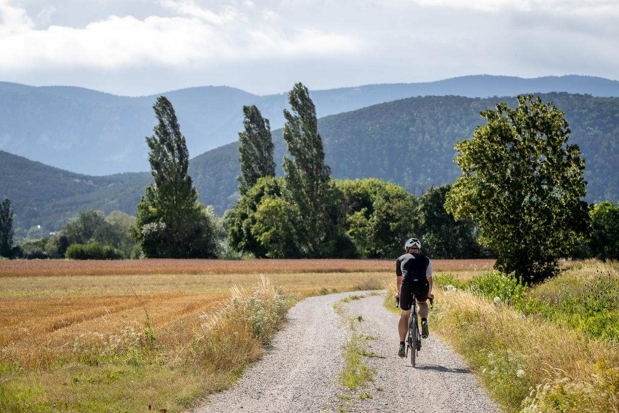 Specialized Turbo Creo SL Evo Expert im Test