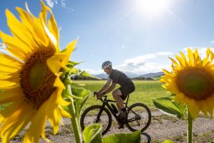 Specialized Turbo Creo SL Evo Expert im Test