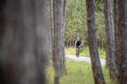 Specialized Turbo Creo SL Evo Expert im Test