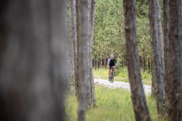 Specialized Turbo Creo SL Evo Expert im Test