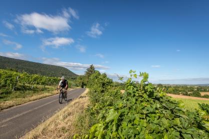Specialized Turbo Creo SL Evo Expert im Test