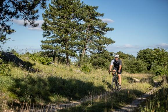 Specialized Turbo Creo SL Evo Expert im Test