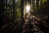 DT Swiss Hybrid MTB LS
