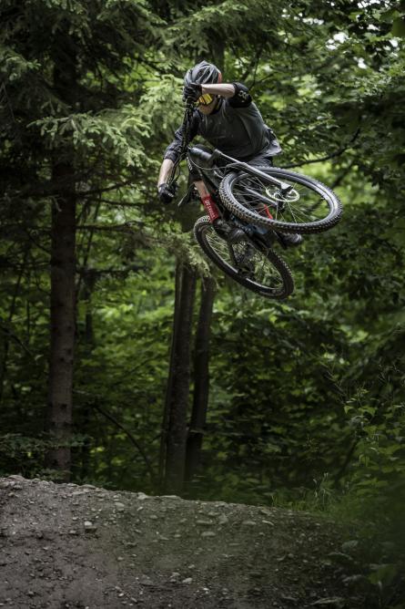 DT Swiss Hybrid MTB LS