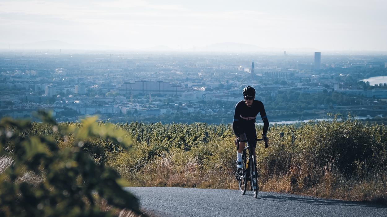 Rapha Pro Team Powerweave Bib Shorts