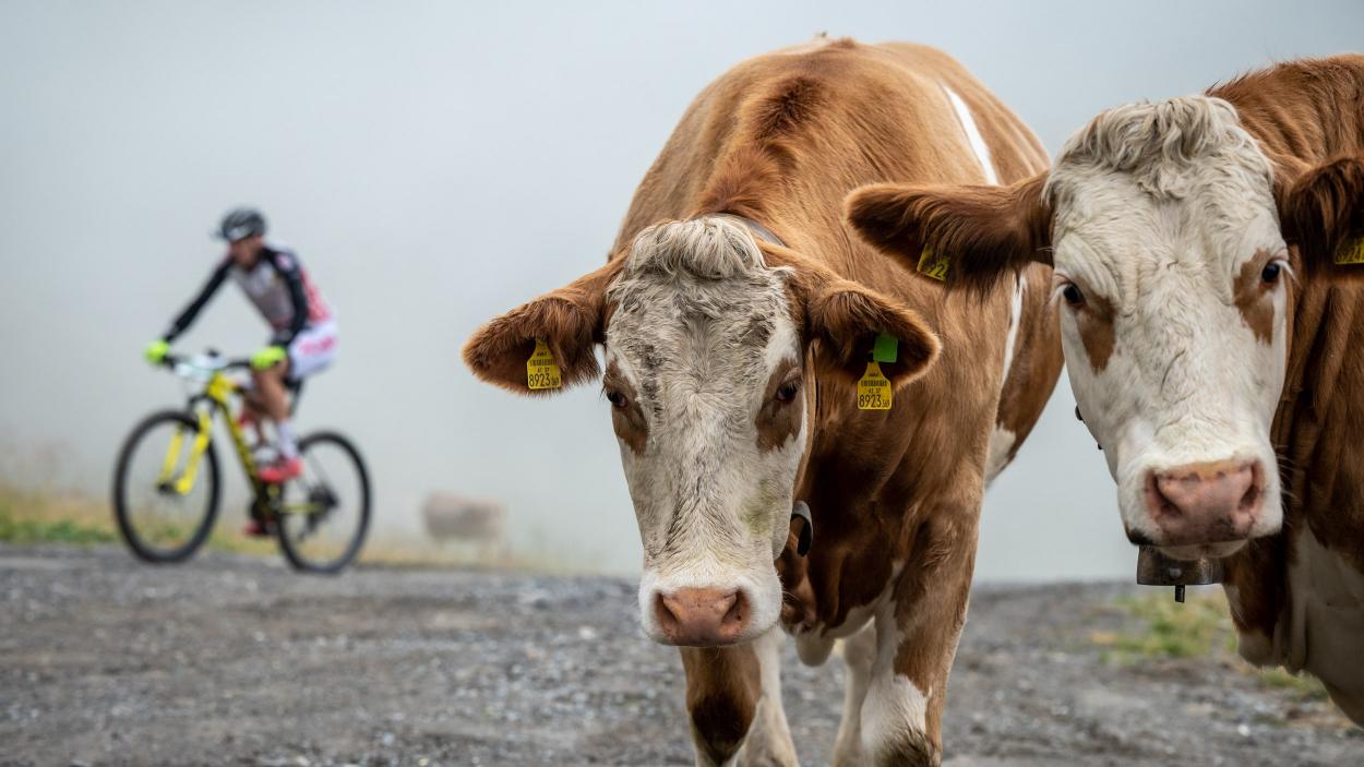 Ischgl Ironbike 2022 - Marathon Fotos und Bildbericht