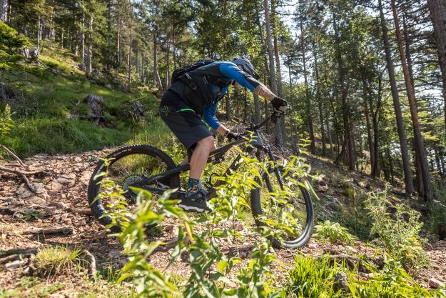 Canyon Spectral:ON CFR 2022 im Langzeittest