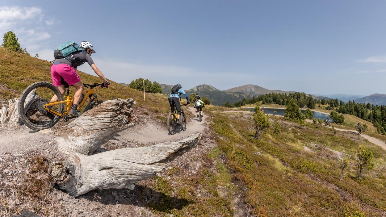 Trek Fuel EX 2023 - brandneu und schon im Test