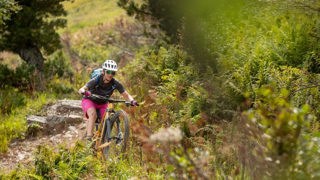 Trek Fuel EX 2023 - brandneu und schon im Test