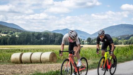 SHIMANO ULTEGRA R8170 DI2 DISC 12-FACH IM TESTMit ihrer 12-fach Ultegra Di2 Disc-Gruppe setzen die Japaner den aktuellen Maßstab für das elektronische Schalten in der Mittelklasse und schließen obendrein die Lücke zur Dura-Ace.
Plus Kaufberatung: Wo liegen die Unterschiede zwischen Ultegra und Dura-Ace (12-fach) bzw. lohnt sich der Kauf der Topgruppe?