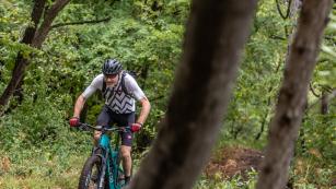 Focus Jam 8.9 2022 im Test