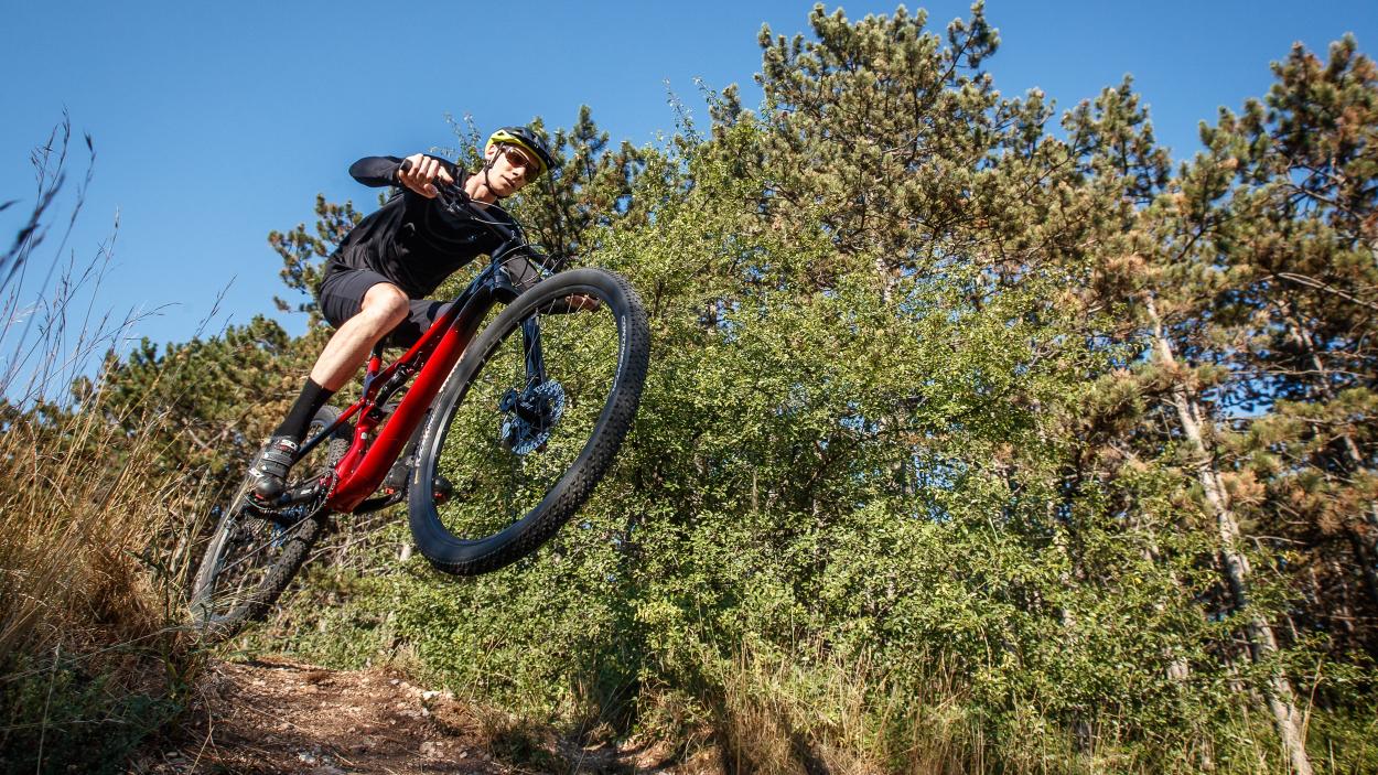 Cannondale Scalpel Carbon TuneUp 2022