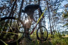 Cannondale Scalpel Carbon TuneUp 2022