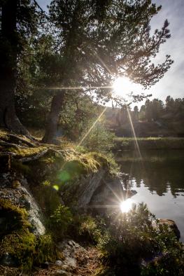Neue MTB Trails auf der Turracher Höhe