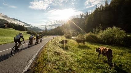 BILDBERICHT KUFSTEINERLAND RADMARATHON 2022Bei herrlichem Spätsommerwetter bestritten am 4. September über 900 Sportbegeisterte aus 25 Nationen den 6. Kufsteinerland Radmarathon. Lokalmatador Max Kuen und Monika Fritz aus Deutschland sicherten sich den Sieg in der Königsdisziplin.