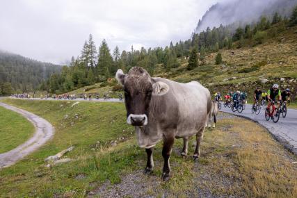 Ötztaler Radmarathon: Vorbereitung und Rennen