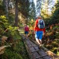 Neue MTB-Touren im Dachstein Salzkammergut