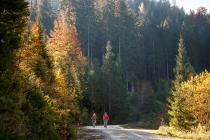 Neue MTB-Touren im Dachstein Salzkammergut