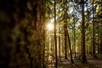 Neue MTB-Touren im Dachstein Salzkammergut
