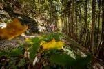 Neue MTB-Touren im Dachstein Salzkammergut