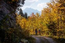 Neue MTB-Touren im Dachstein Salzkammergut