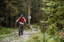 Neue MTB-Touren im Dachstein Salzkammergut