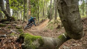 UNTERWEGS AUF DEN BURGENLAND-TRAILSGanzjahres-Trails jenseits des Massentourismus: Die Burgenland Trails sind eine willkommene, naturnahe und zeitgemäße Ergänzung zu superlativen Bikeparks mit Lift-Infrastruktur. Erholungssuchende finden im Süd- und Mittelburgenland eine Menge zusätzliches Freizeitangebot.