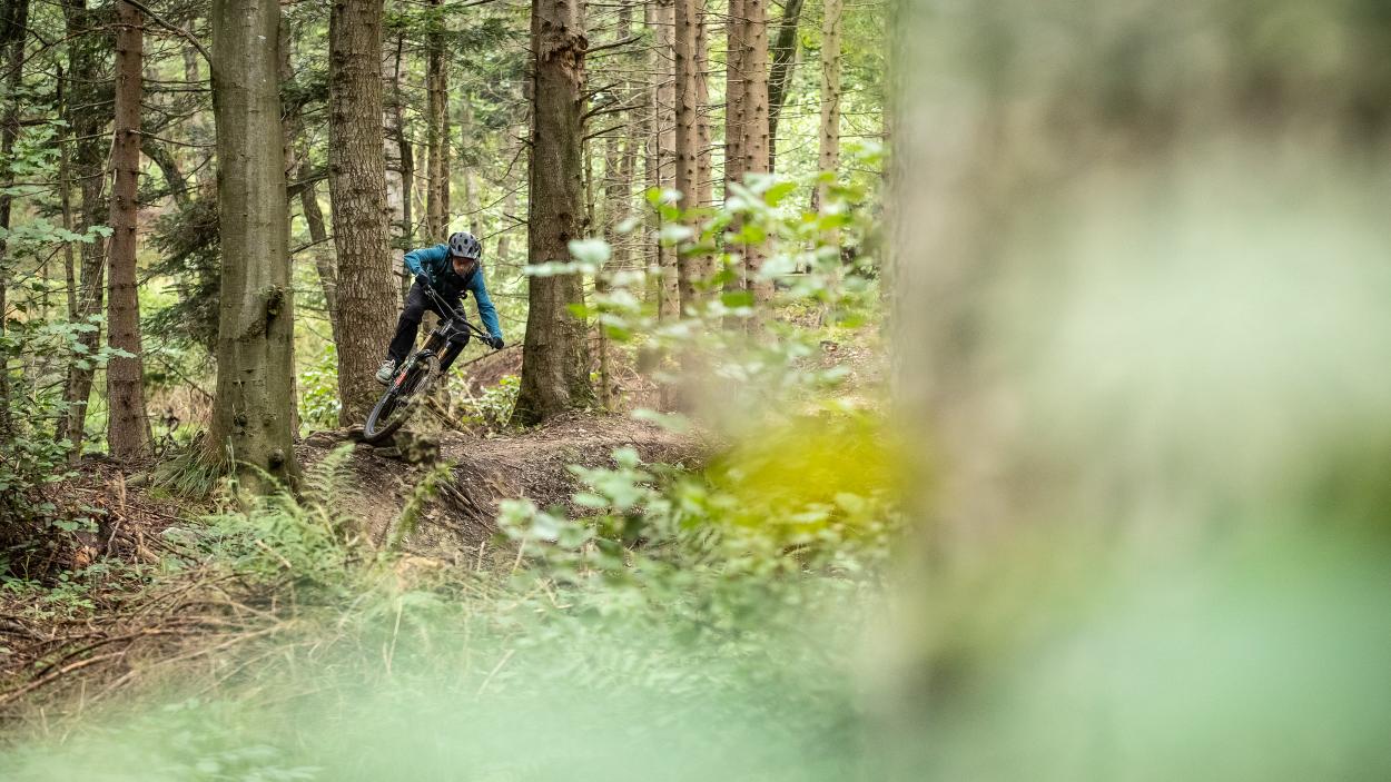 Unterwegs auf den Burgenland-Trails