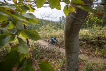 Unterwegs auf den Burgenland-Trails