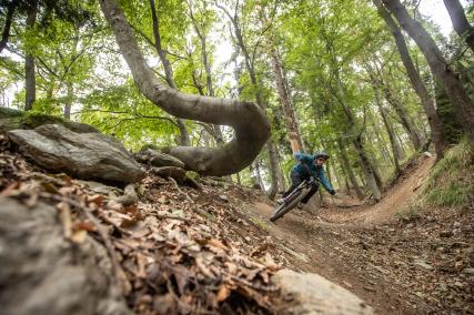Unterwegs auf den Burgenland-Trails