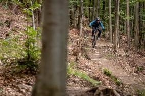Unterwegs auf den Burgenland-Trails
