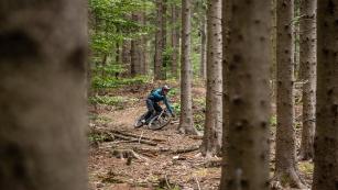 DT Swiss HX 1700 Hybrid LS 2022 Laufradsatz im Test