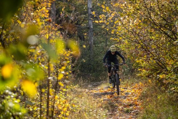 Scott Genius 900 Ultimate im Test