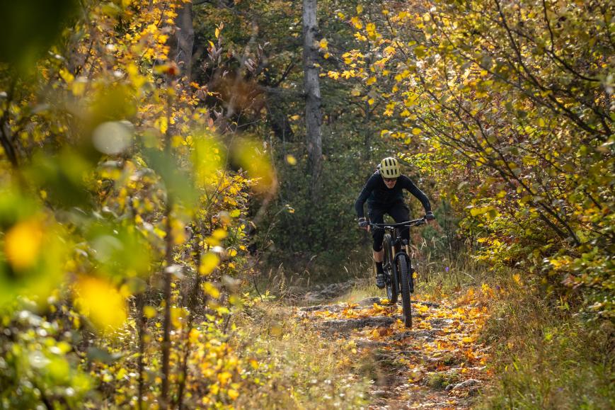 Scott Genius 900 Ultimate im Test