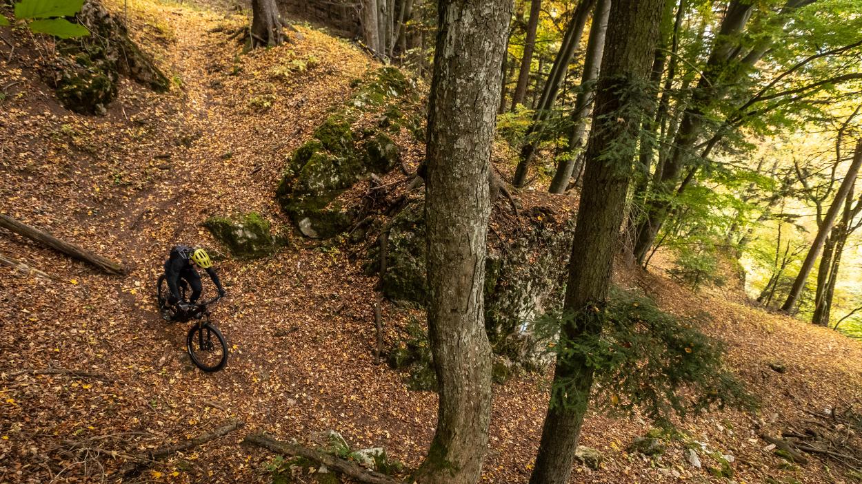 Scott Genius 900 Ultimate im Test