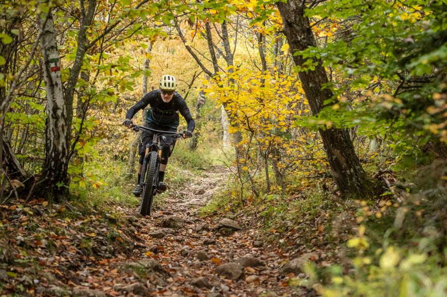 Scott Genius 900 Ultimate im Test