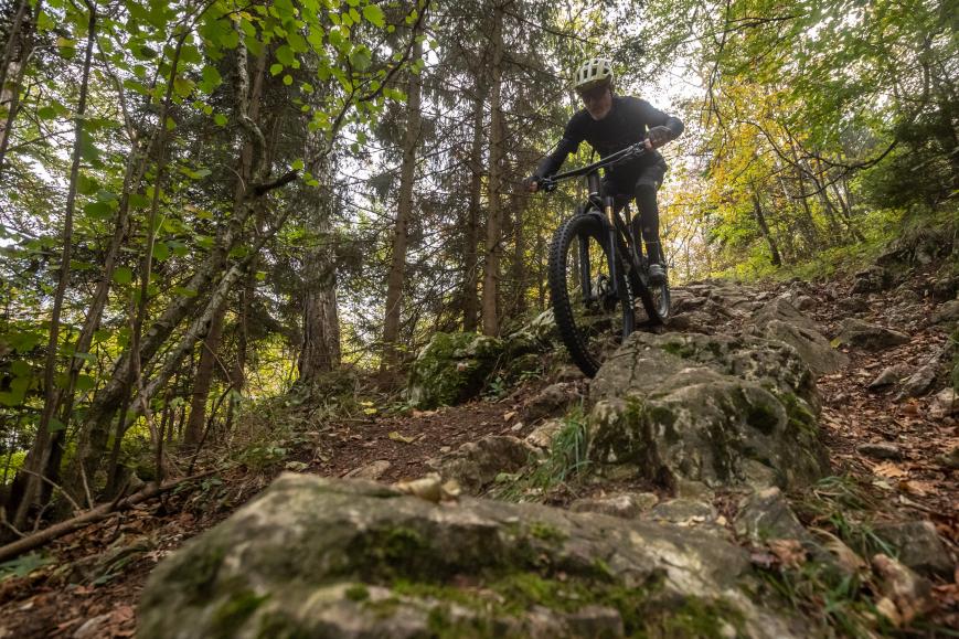 Scott Genius 900 Ultimate im Test