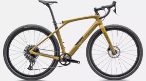 Diverge STR Expert in Gold oder 