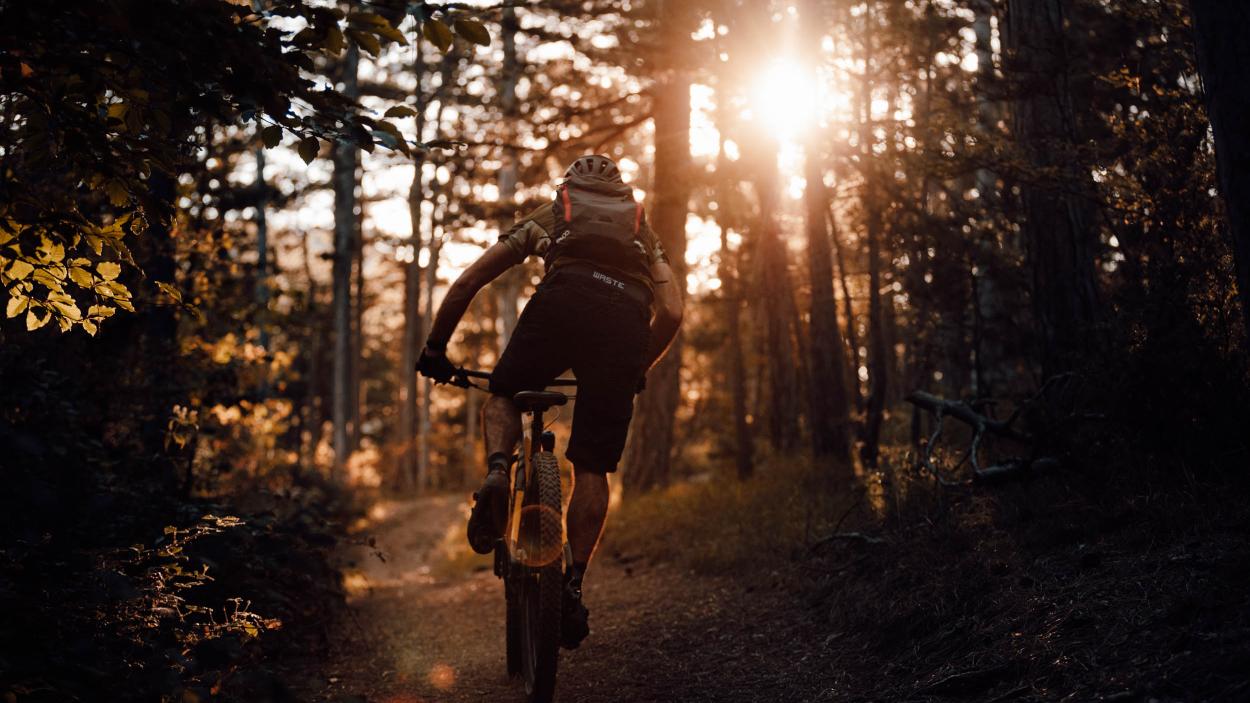 Mavic Crossmax Carbon XL R 29 im Test