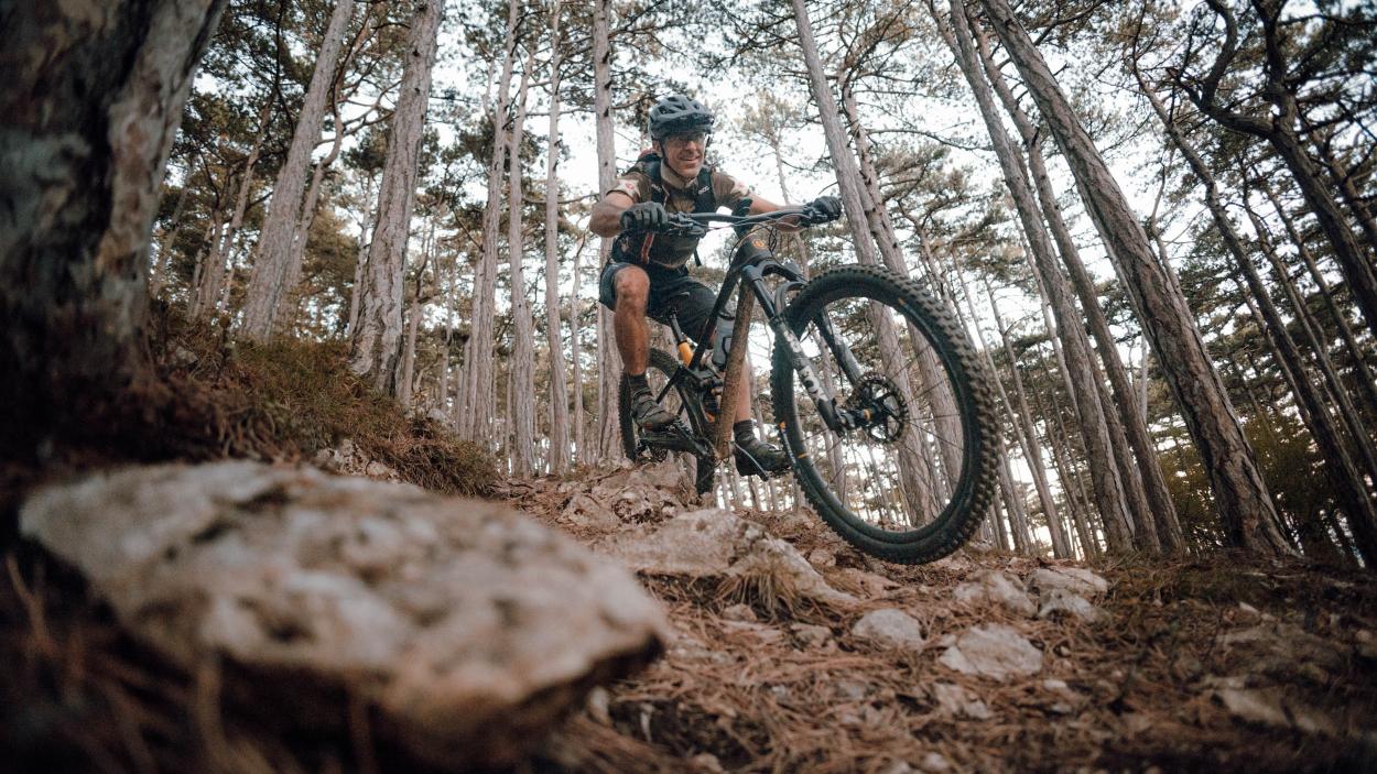 Mavic Crossmax Carbon XL R 29 im Test