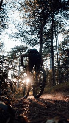 Mavic Crossmax Carbon XL R 29 im Test
