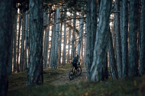 Mavic Crossmax Carbon XL R 29 im Test