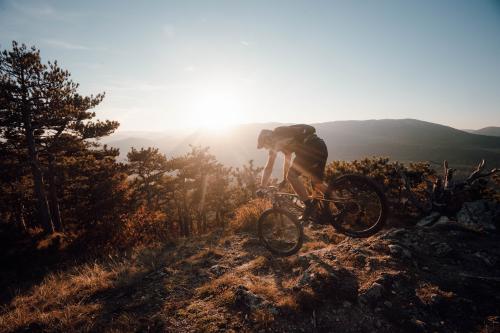 Mavic Crossmax Carbon XL R 29 im Test