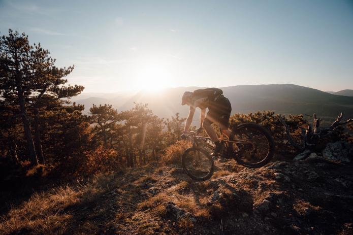 Mavic Crossmax Carbon XL R 29 im Test