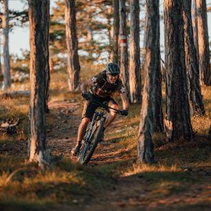 Mavic Crossmax Carbon XL R 29 im Test