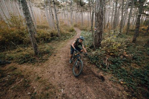 Mavic Crossmax Carbon XL R 29 im Test