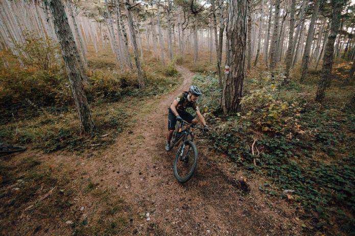 Mavic Crossmax Carbon XL R 29 im Test