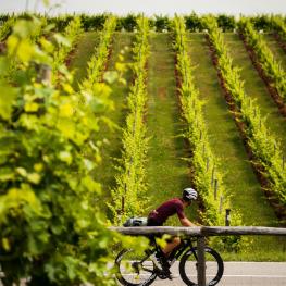 Die TripleAltTour - Giro, Tour & Vuelta unsupported