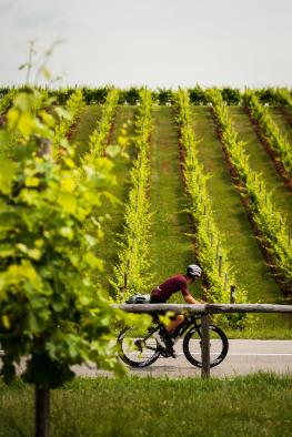 Die TripleAltTour - Giro, Tour & Vuelta unsupported