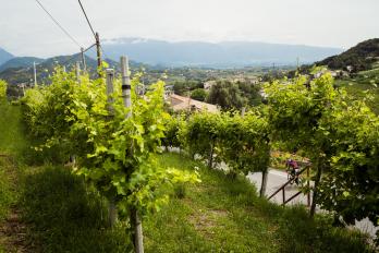 Die TripleAltTour - Giro, Tour & Vuelta unsupported